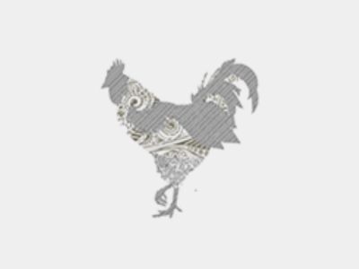 Boton-de-gallo