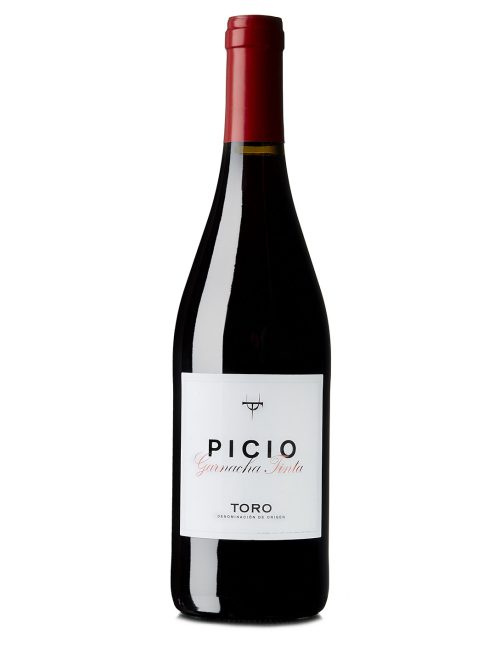 Picio Tierra d’Uro